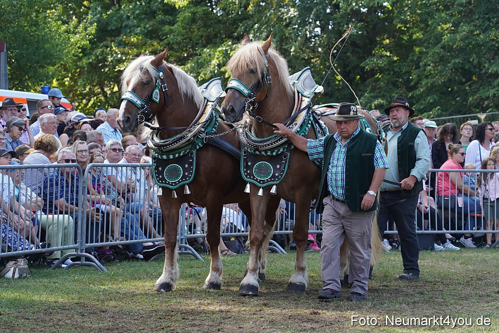 Pferde und Fohlenschau 2022 0182 